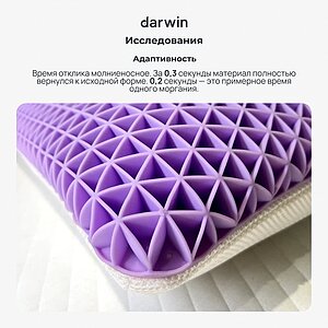 ������ ������� darwin Wave � ��������
