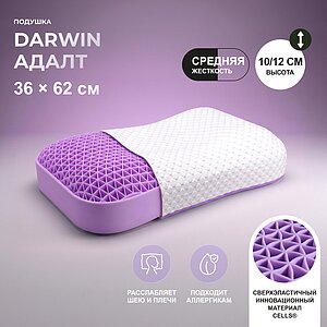 ������� darwin Adult