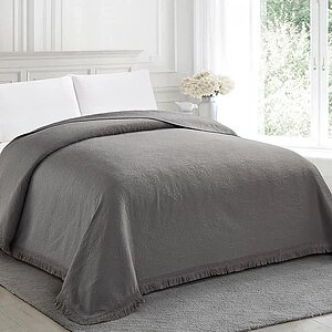 ��������� Cleo Bosqua 004-BSQ