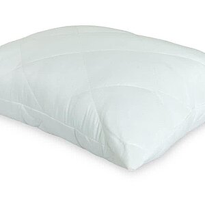 ������� Green Bamboo