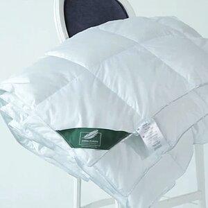 �����-����� Anna Flaum Eis, ������