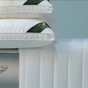 �����-����� Anna Flaum Fitness, �����������