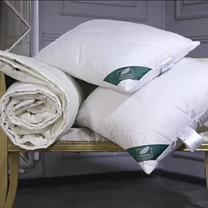 �����-����� Anna Flaum Kamel, ������