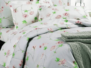   Mirabello Azalea