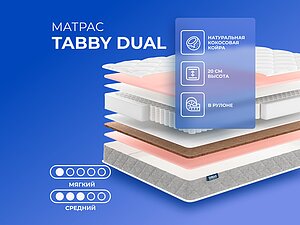 ������ ������ Tabby Tabby Dual