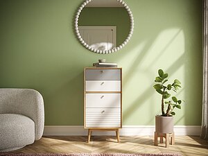 ������ ����� �������� Pollo ������� � ������� ���. POL11