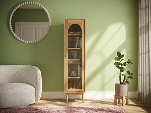 ������ ���� �������� Pollo ��� POL17