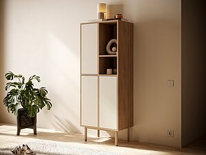 ������ ���� �������� Alice ���. ALC11 � ��������