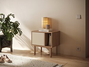 ������ ����� �������� Alice ���. ALC18 � �������