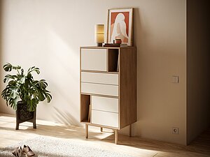 ������ ����� �������� Alice ���. ALC20 � �������