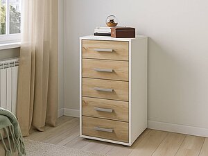 ������ ����� ��� �����-3