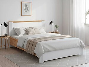 ������ ������� ������� ������ ��-29 � ���������� (��� ����� �������/�������)