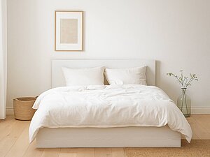 ������ ������� ������� �������� ��-24 160�200 � ���������� (�������� ������ �������)