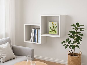 ������ ����� ��� ����-1