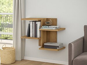 ������ ����� ��� �����-1