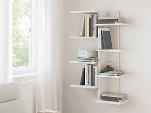 ������ ����� ��� �����-3