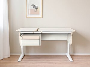    Parta 4/75-40 .42 ( )