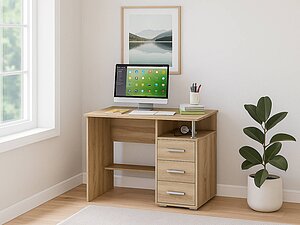 ������ ���� ��� �����-3, ����-3 ������������