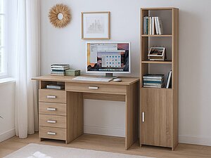 ������ ���� ��� ������ ��������� ����-4� (����-4�)