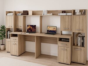 ������ ���� ��� �����-19 (���-19)