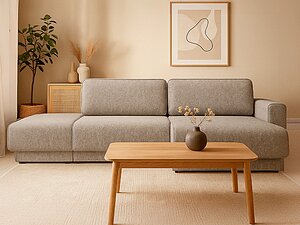 ������ ����� �����-������ ������ SOPF