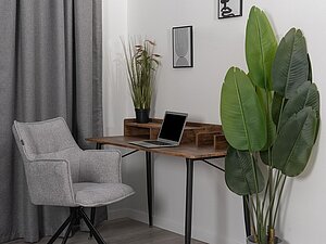 ������ ������ Tetchair Lutz
