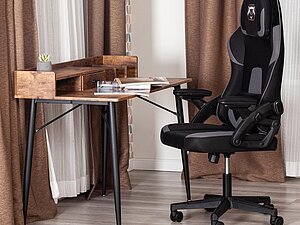 ������ ������ Tetchair iBear