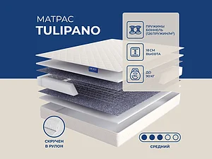 ������ ������ Lineaflex Tulipano