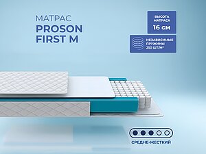 ������ ������ ProSon First M