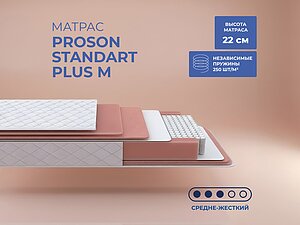������ ������ ProSon Standart Plus M