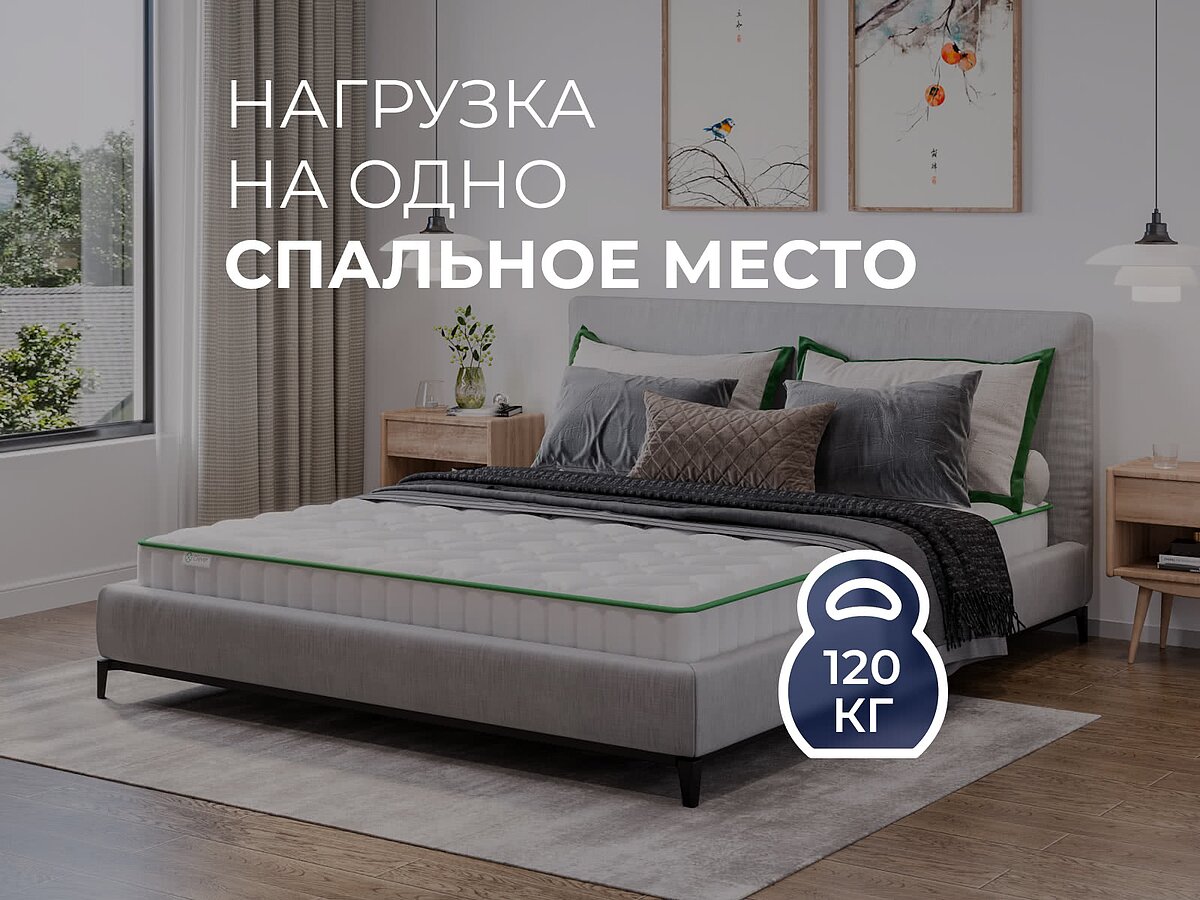  Clever Senses Lite
