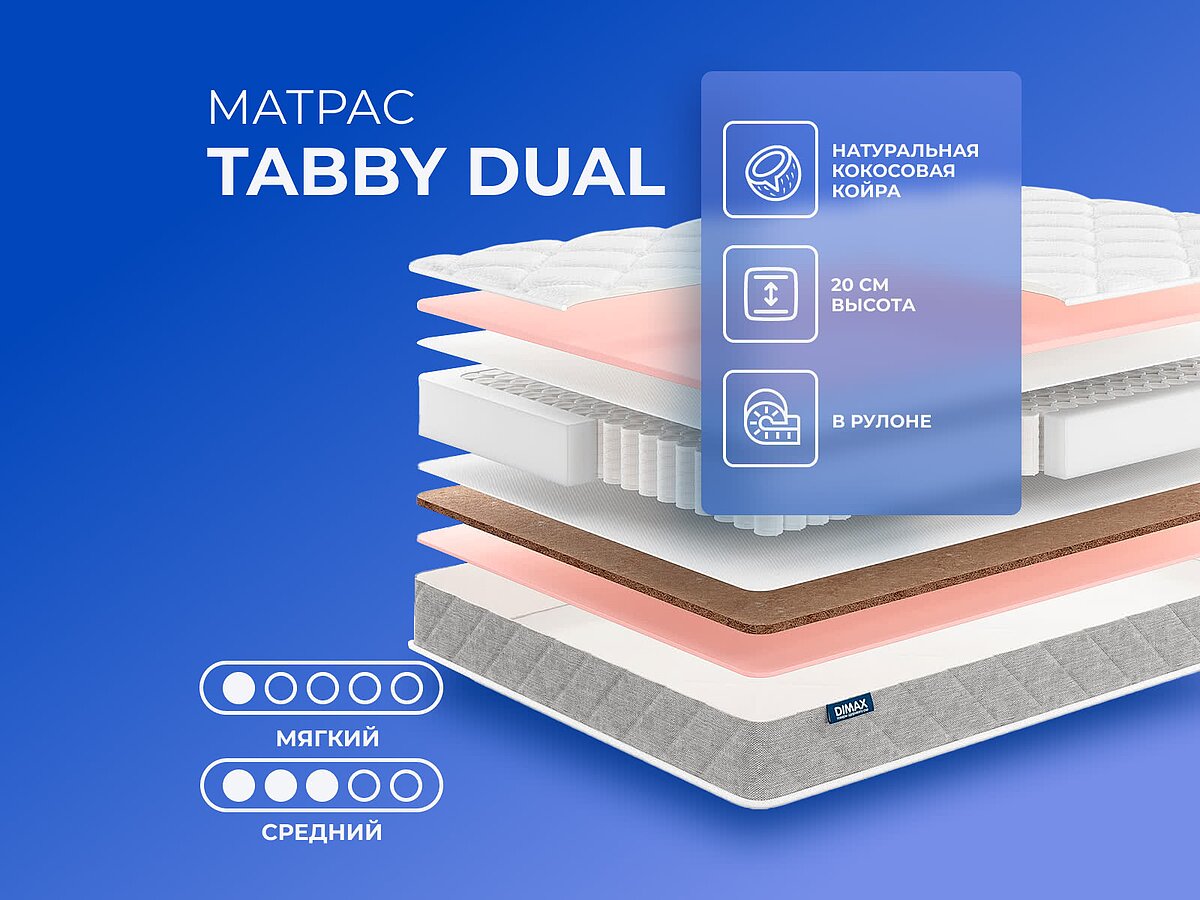 Tabby Dual