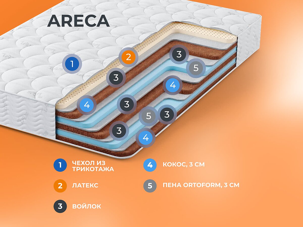   Areca