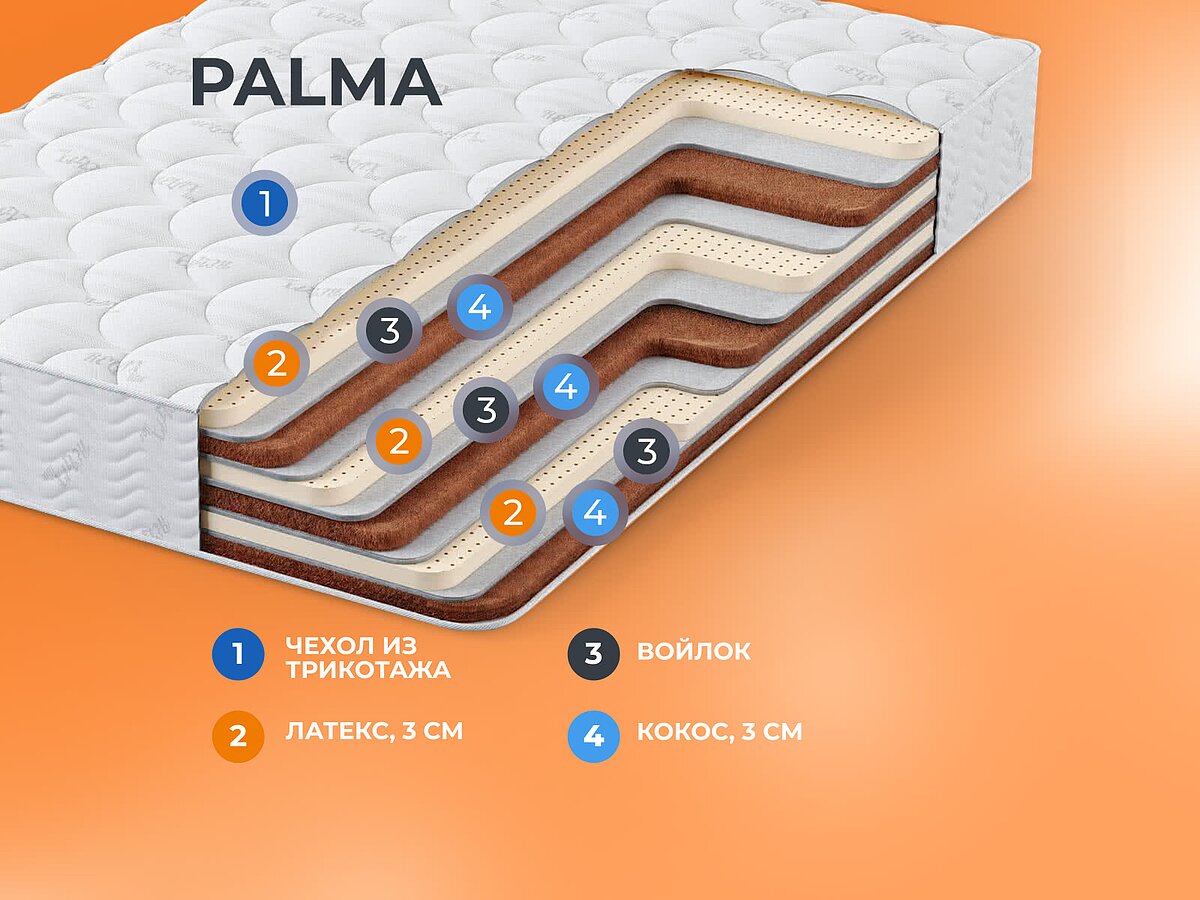   Palma