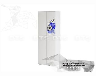 Купить шкаф BTS Трио ШК-09, Король спорта