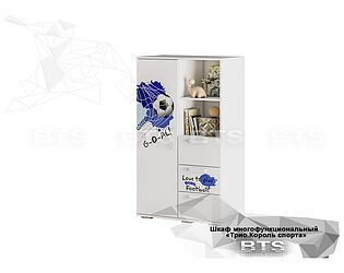 Купить шкаф BTS Трио ШК-10, Король спорта