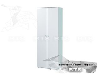 Купить шкаф BTS Тифани 2-х створчатый ШК-09