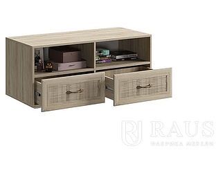   Raus   -313