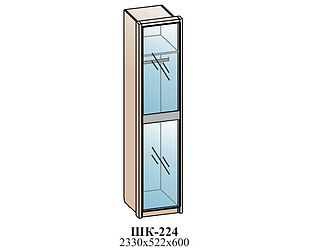 Купить шкаф Santan Леонардо ШК-224