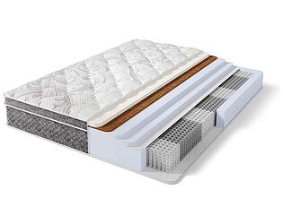   Sonum Premier Middle