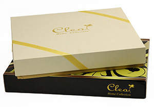 �������� ����������� ����� Cleo