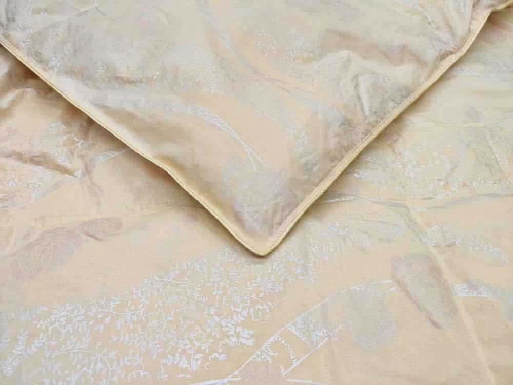 ������ �������