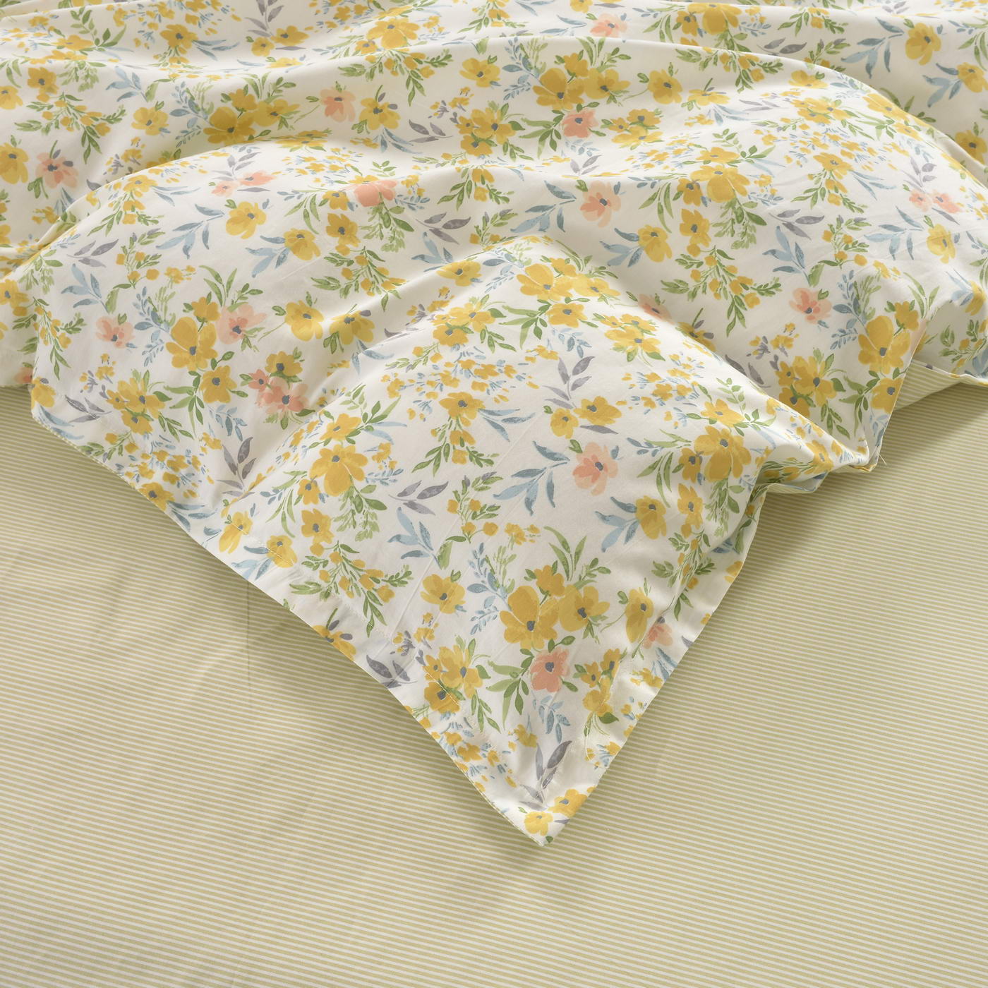 ���������� ����� Sofi De Marko ����� � ���� 11520 �. � 59 ��������