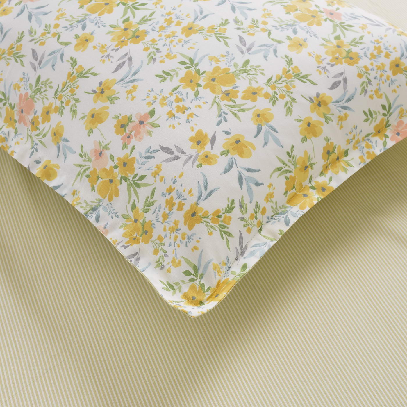 ���������� ����� Sofi De Marko ����� � ����� � 59 ��������