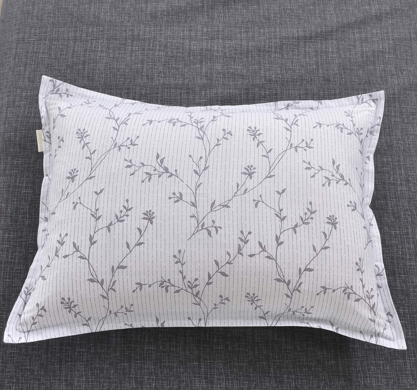 ���������� ����� Sofi De Marko ������ � ����� � 58 ��������