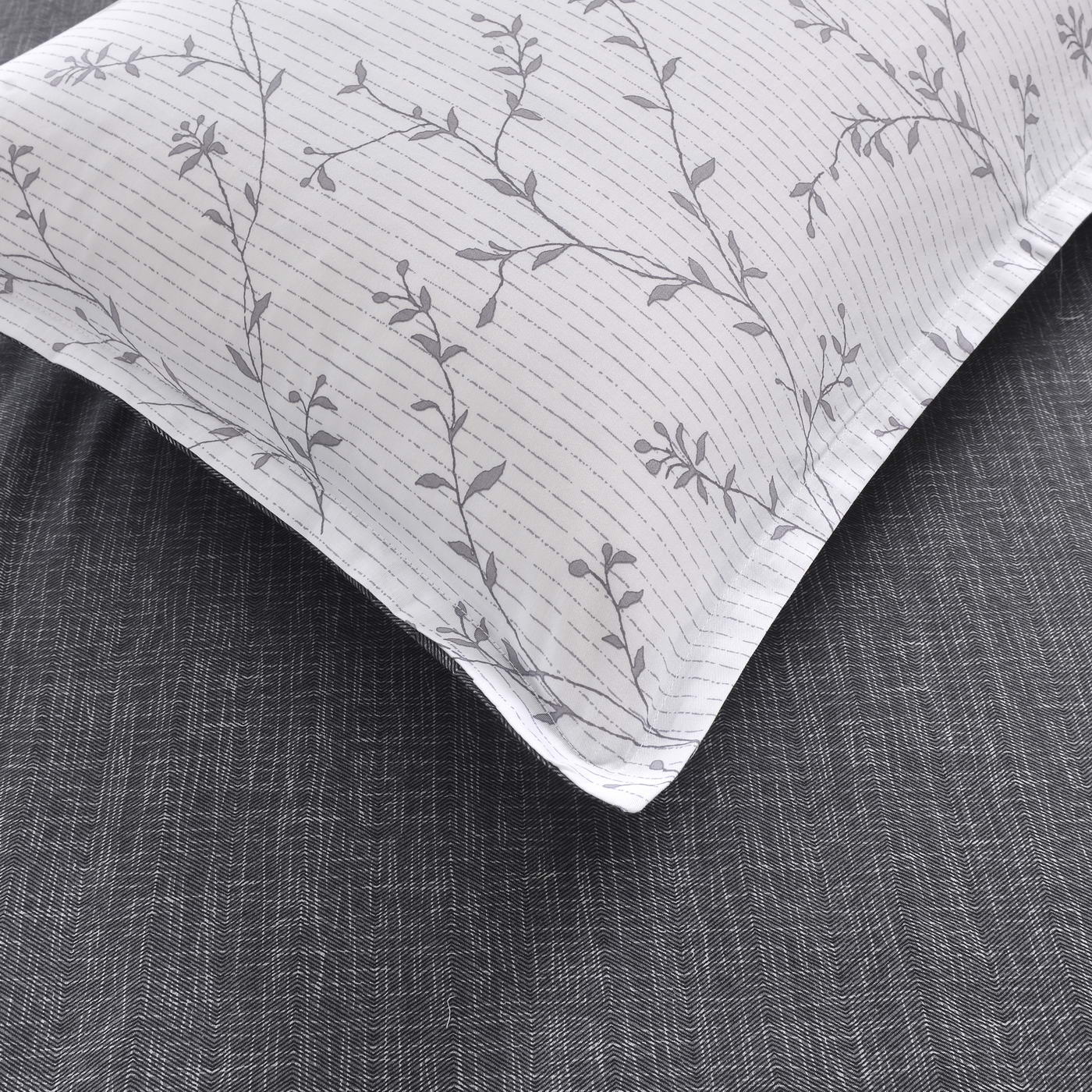 ���������� ����� Sofi De Marko ������ � ����� � 58 ��������