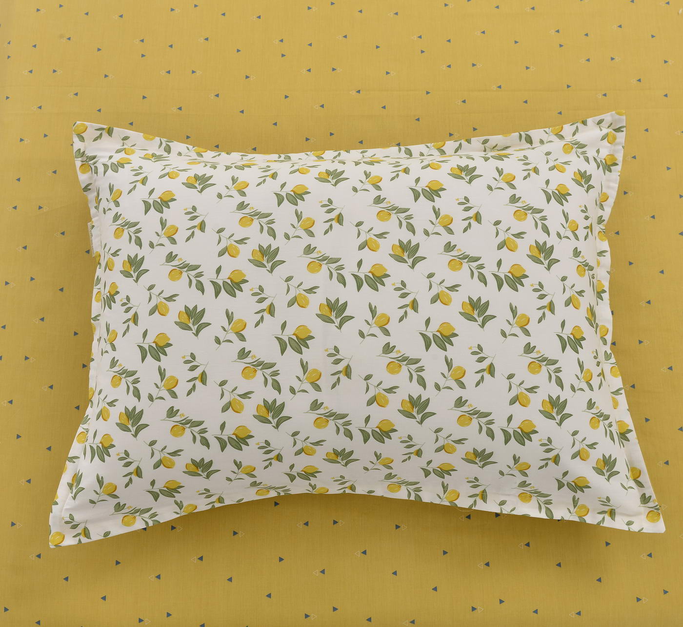 ���������� ����� Sofi De Marko ������ � ����� � 49 ��������