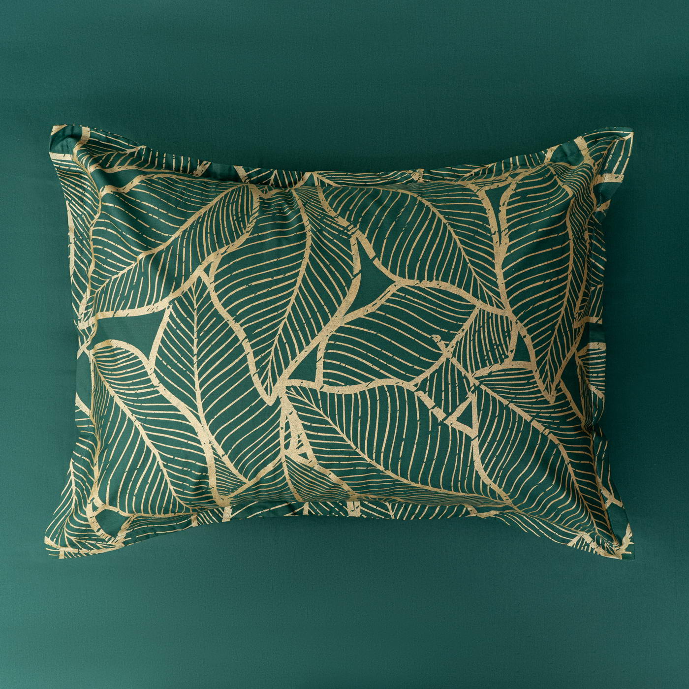 ���������� ����� Sofi De Marko �������, ������� � ���� 16224 �. � �����