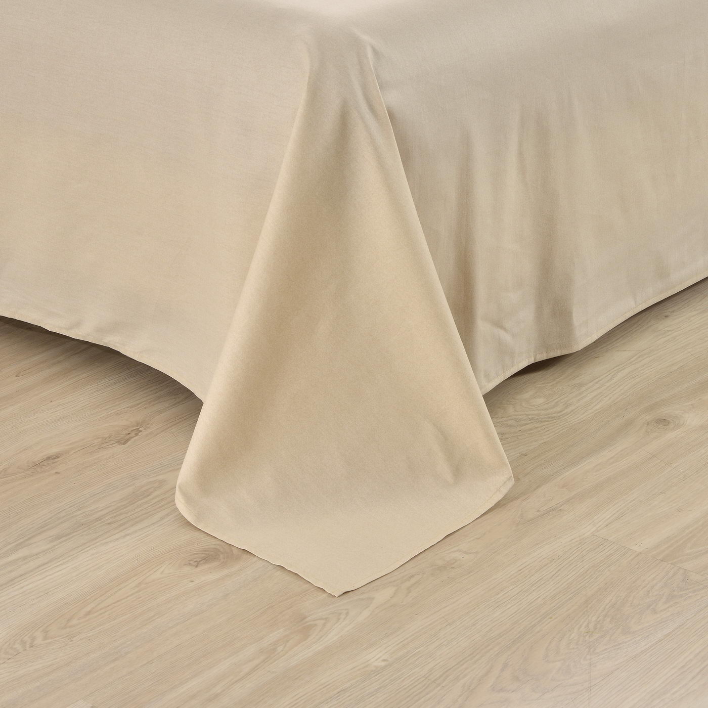 ���������� ����� Sofi De Marko ������ � ���� 10328 �. � �����