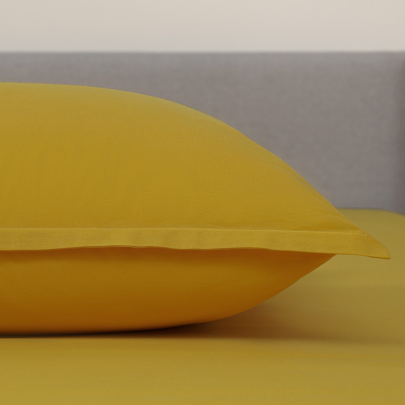 ������ �������� Sofi De Marko ������, ��������� ��������